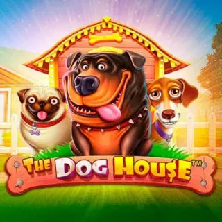 The Dog House at Lukki Casino NZ